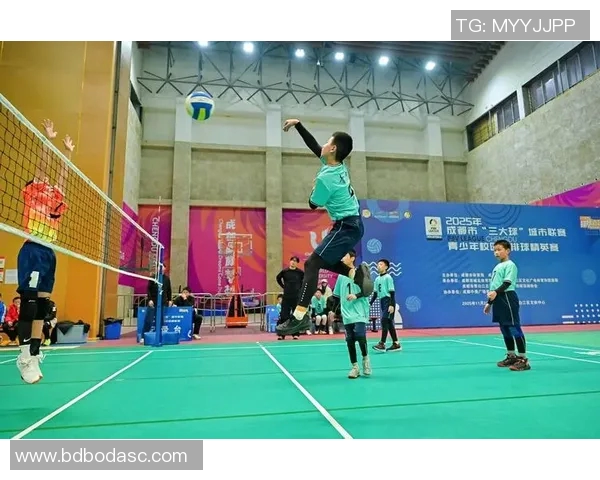 成都排球队在世界锦标赛中的技术表现分析与点评