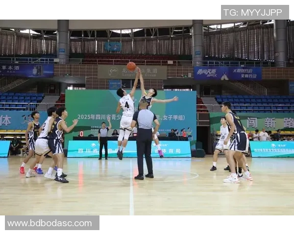 成都篮球队的实力分析与未来发展展望探讨 成都篮球队的实力分析与未来发展展望探讨