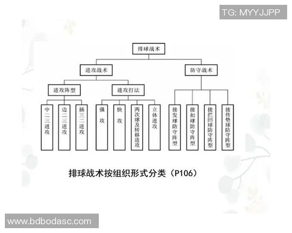 深入分析上海排球队控制打法的战术特点与实践应用