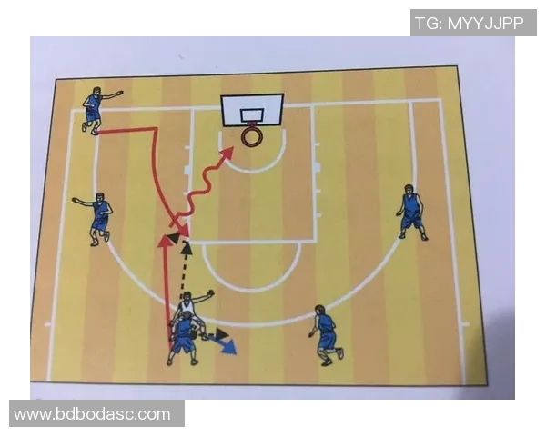 篮球新手必看战术入门指南助你快速提升球场表现技巧