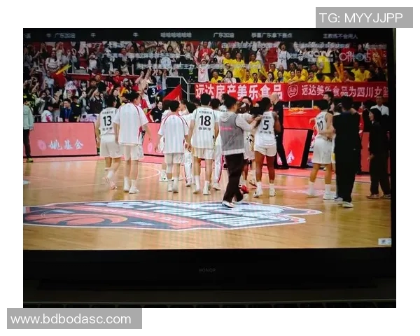 张镇麟的篮球之路：从青涩少年到CBA明星的成长故事与奋斗历程