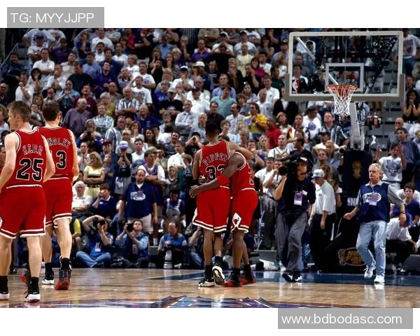 总决赛巅峰对决公牛与太阳谁能问鼎冠军荣耀之战