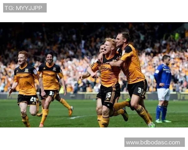 赫尔城迎战弗利特全力争胜期待精彩对决与球迷共庆盛事